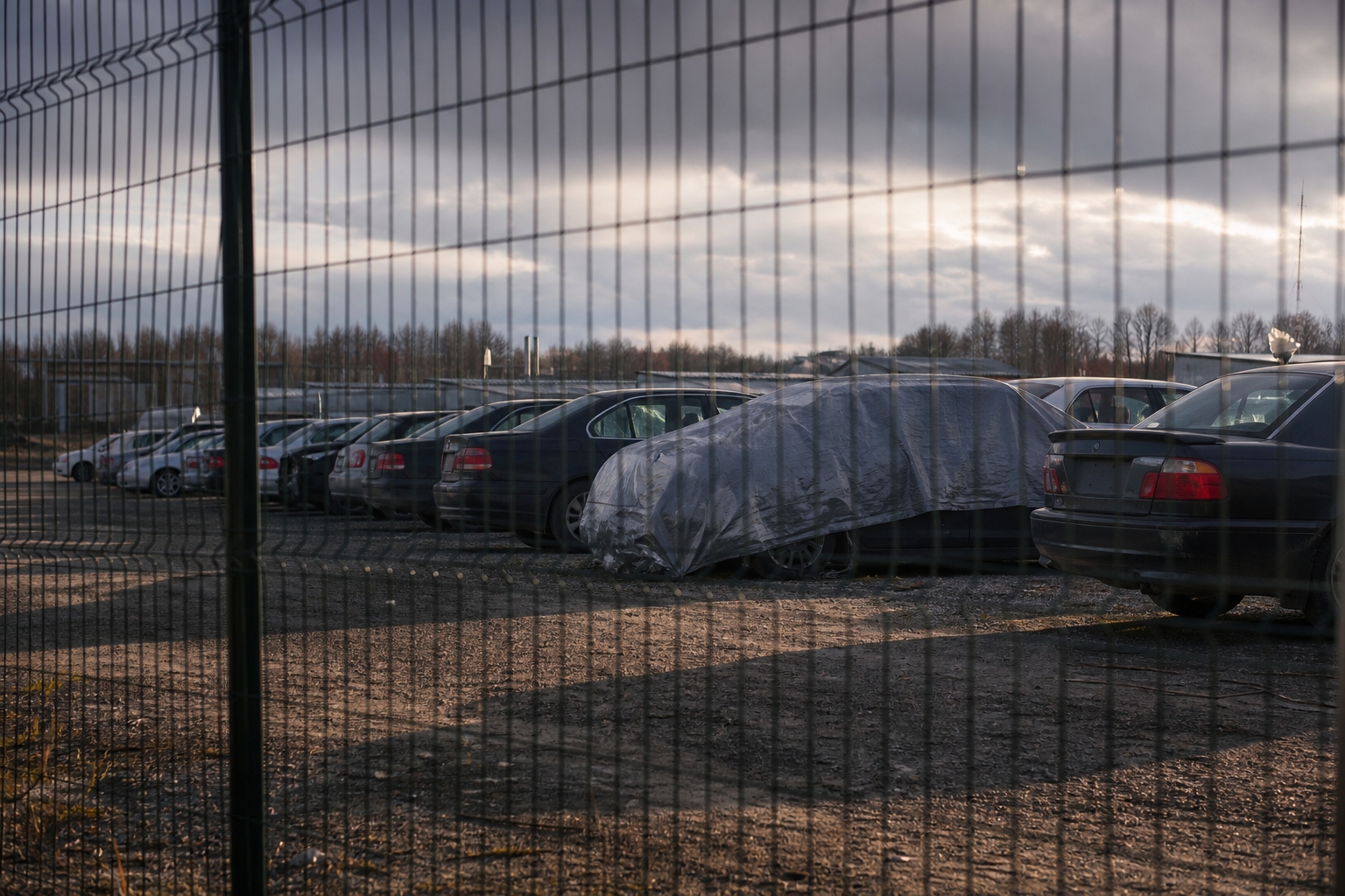 Vehicles waiting at an impound lot